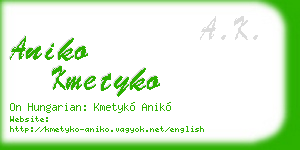 aniko kmetyko business card
